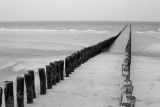 Domburg07n.jpg