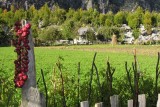 Valbona Village