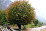 Valbona Valley