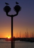 Popular shots 11.jpg