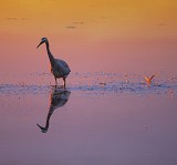Popular shots 17.jpg