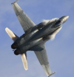 Hornet pulls back hard.jpg