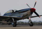 Majestic P51.jpg
