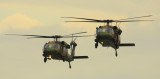 Blackhawk 2 ship.jpg