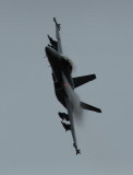 E model Hornet tight left.jpg