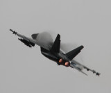 Fulcrum look a like.jpg