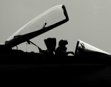 hornet driver silhouette.jpg