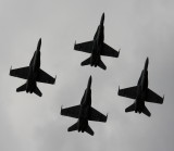 Hornet silhouette 2.jpg