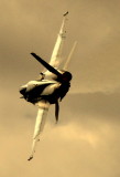 Nice Hornet profile.jpg