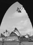 Arches.jpg