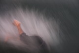 the diver.jpg