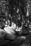 Garfield_Falls_NH_2009sep27_0040_Tagged.jpg