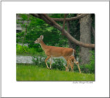 mama and baby framed.jpg