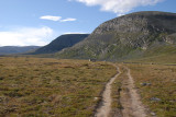 Dovrefjell_16.jpg