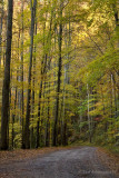 Smoky Mountain National Park