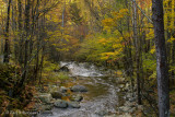 Smoky Mountain National Park