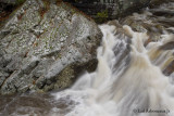 Smoky Mountain National Park