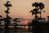  Louisiana Landscapes