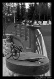 Ornamental Bridge