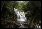 Lower Falls
