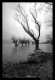 Glenorchy #1