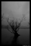 Glenorchy #2