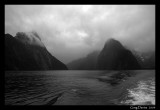 Milford Sound #10