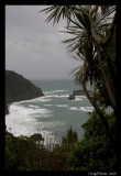 West Coast