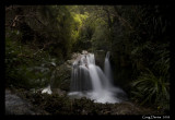 Sharplin Falls