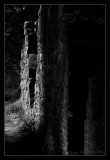 Ruins #1