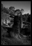 Ruins #5