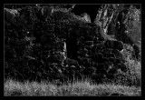 Ruins #4