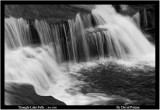 TRILAKEFALLSbw12557 ul.jpg