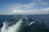 DSC01408.JPG