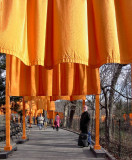 The Gates by Christo and Jeanne Claude