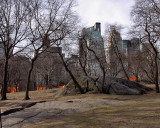 The Gates by Christo and Jeanne Claude