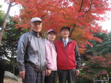 Nov 2010 013.jpg