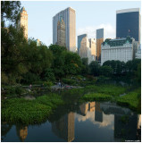 Late Afternoon at The Pond