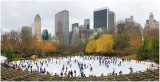 Wollman Rink Winter 2008