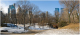 Winter Morning  in  Central Park
