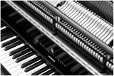 Steinway & Sons BW