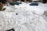 after the big snow storm- blizzard of Dec   2010 .jpg