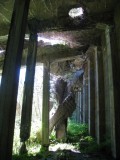 Concrete Snowshed view 6