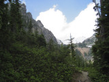 IMG_3223 adj 800.jpg