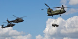 AH-64D Apache & CH-47D Chinook & Cougar