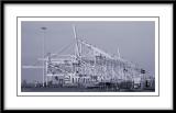 Maasvlakte