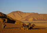 Wadi Rum