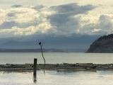 Eagle Sentry watches Norwegian Star Pass Double Bluff