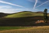 The Palouse