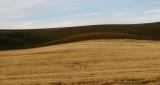 The Palouse